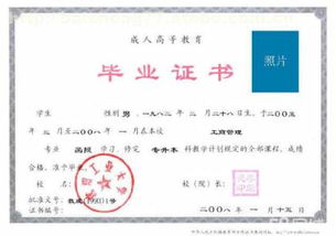 沈陽百晟教育信息咨詢中心 專業教育培訓的熱門選擇與市場分析